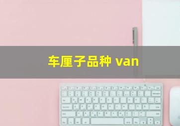 车厘子品种 van